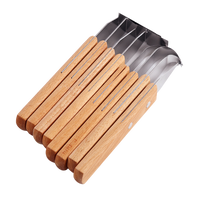 Wooden Handle Clay Plastic Trimming Tool